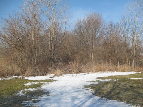 Property photo 11 - 1900's All Brick Home, Metal Frame Barn on 3.42 Acres